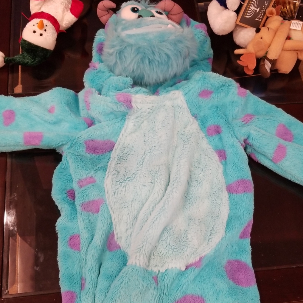 Disney sully costume